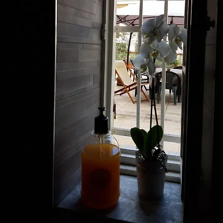 La Casa Di Chicca & Paolo 斯培西亚